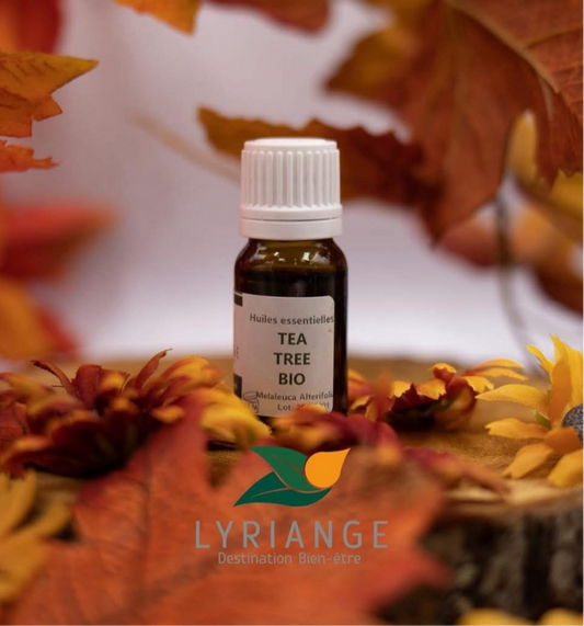 Huile essentielle tea tree bio
